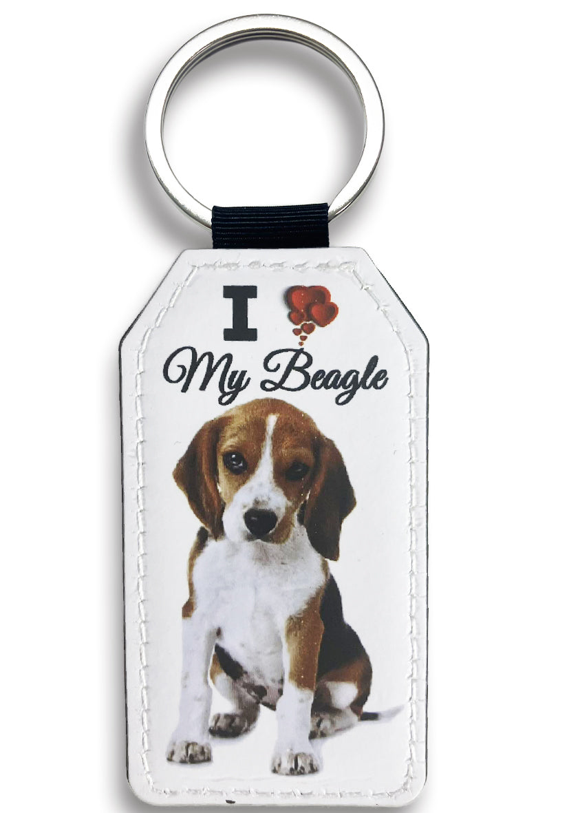 PRÉMIUM KULCSTARTÓ BEAGLE