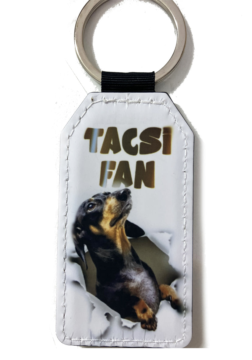 PRÉMIUM KULCSTARTÓ TACSI FAN 1