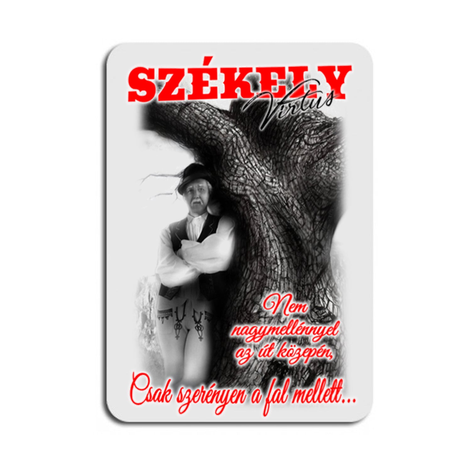 SZÉKELY BÁCSI BÖLCSESSÉGE EGÉRPAD