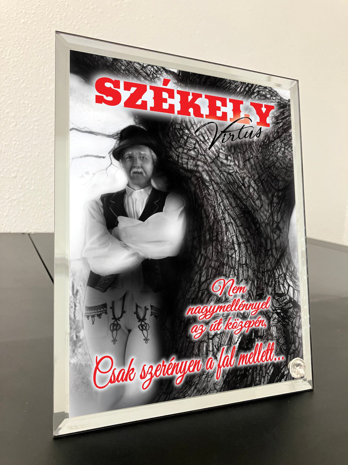 SZÉKELY BÁCSI ÖLCSESSÉG FOTÓÜVEG