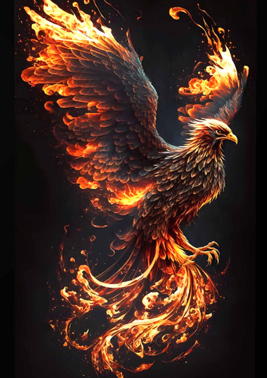 FŐNIX A4 FÉMLAP KÉP