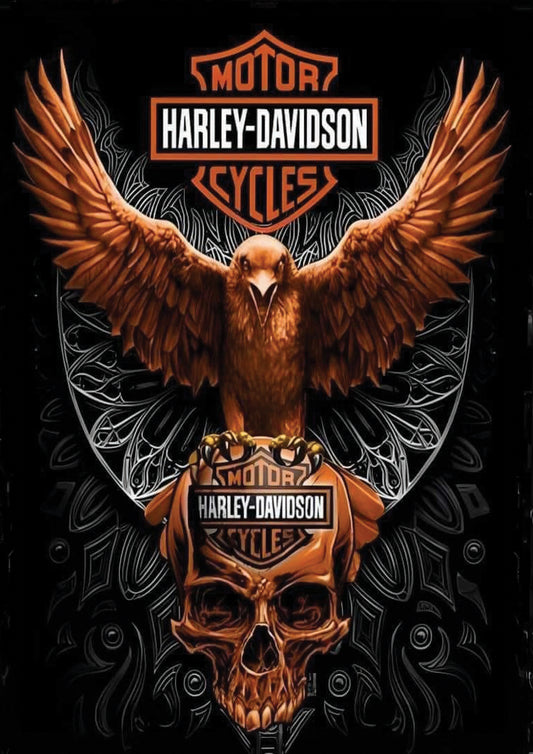 HARLEY-DAVIDSON- A4 FÉMLAP KÉP