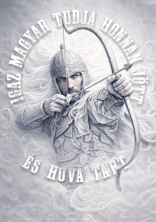 IGAZ MAGYAR TUDJA HONNAN JÖTT ÉS HOVA TART - A4 FÉMLAP KÉP